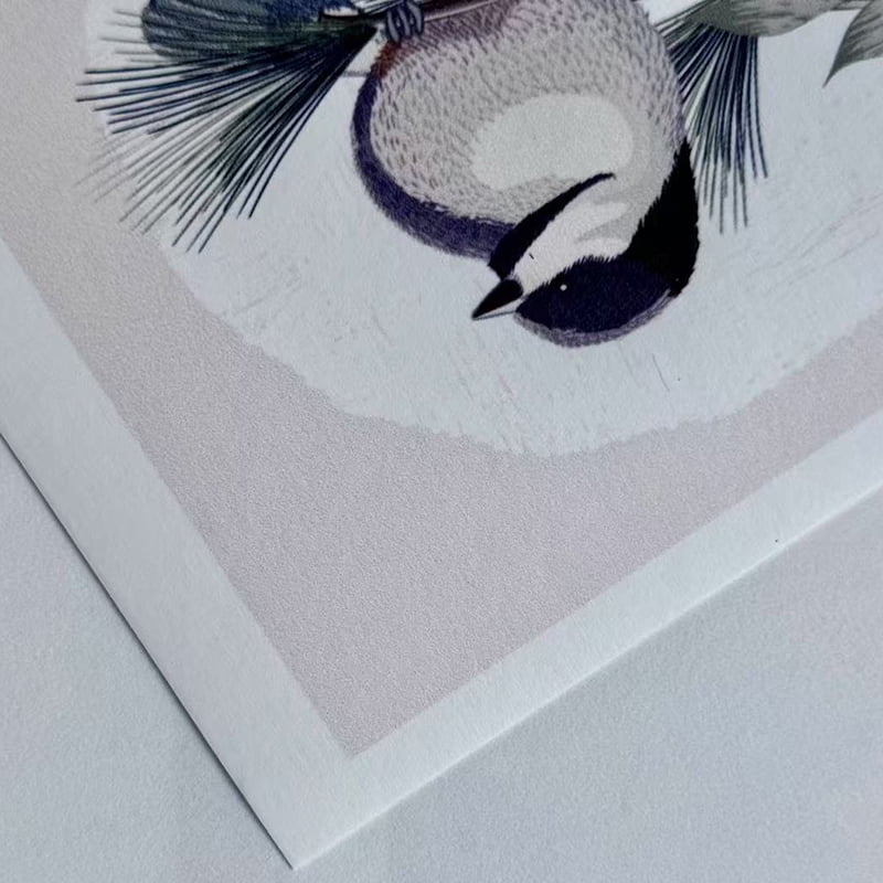 ورق جدران غير منسوج مطلي قابل للطباعة M-NP180E0-P