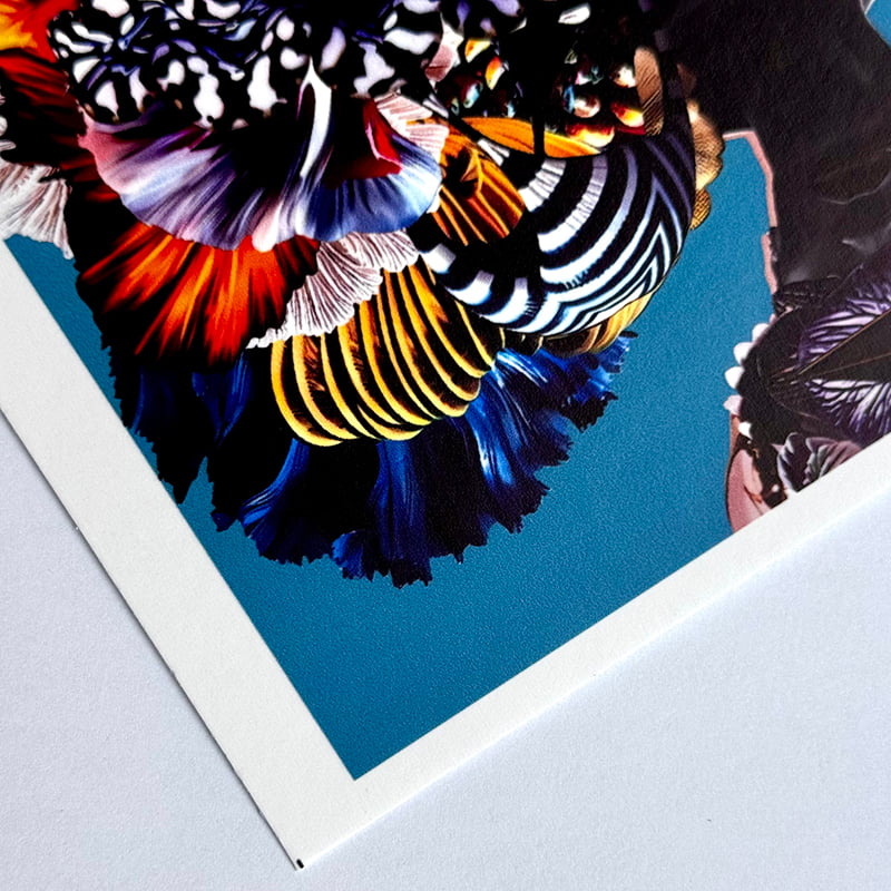 ورق جدران غير منسوج مطلي قابل للطباعة M-NP320E0