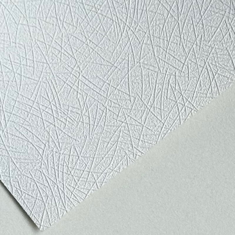 ورق حائط غير منسوج مطلي قابل للطباعة M-VW260E4